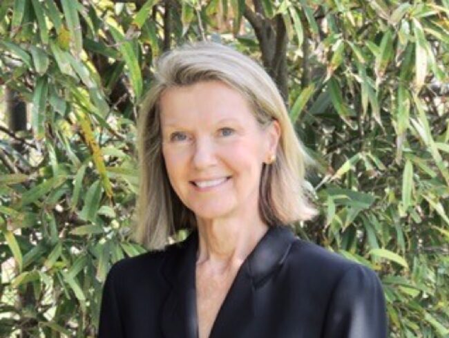 The Story of Bones by Donna Cousins (USA)